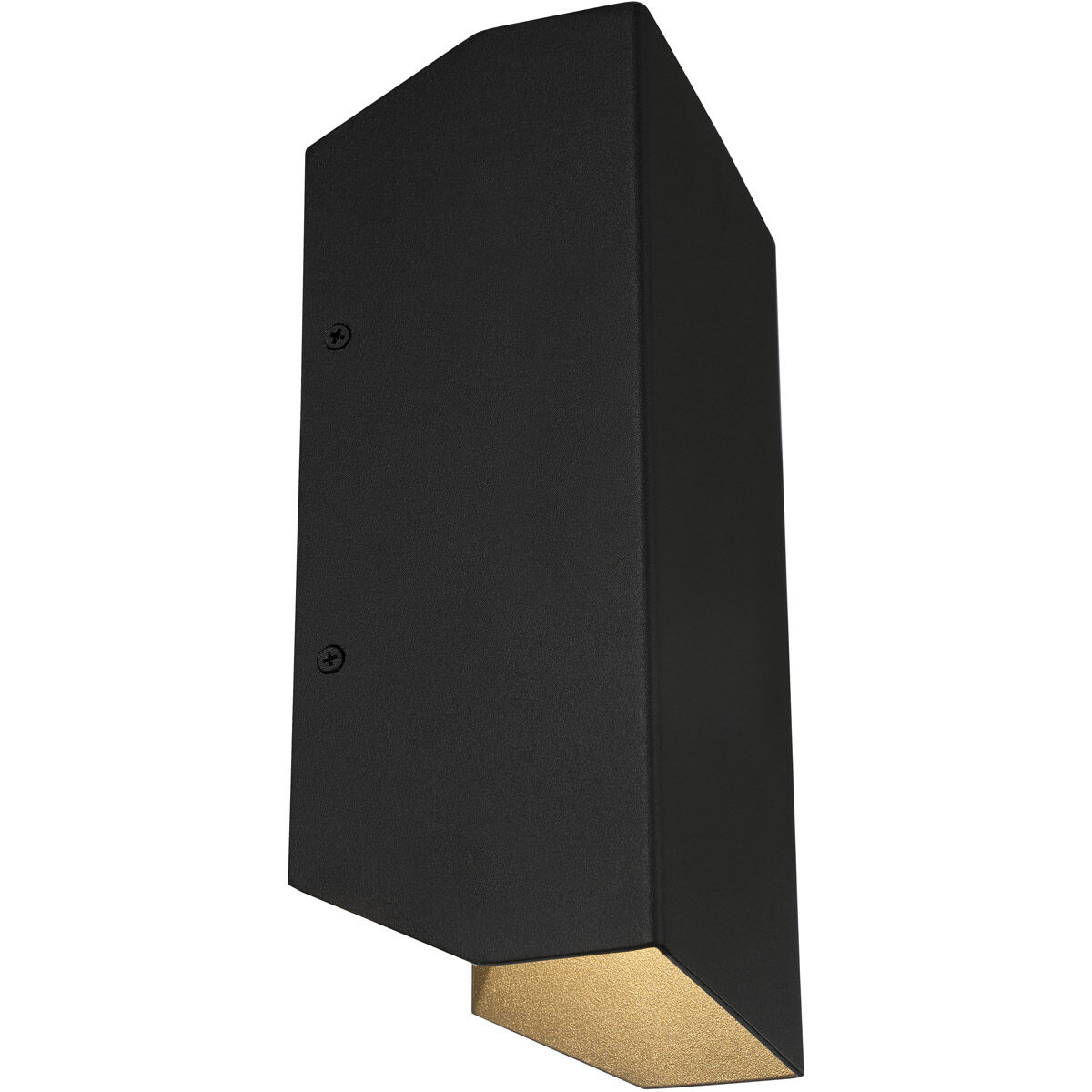 Amora LED 10 inch Black Outdoor Wall Sconce