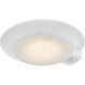 Ace MS 7.25 inch White Flush Mount Ceiling Light