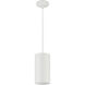 Pilson XL LED 6 inch Matte White Pendant Ceiling Light
