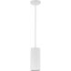Pilson LED 5 inch Matte White Pendant Ceiling Light