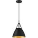 Tanner LED 10.75 inch Matte Black Pendant Ceiling Light