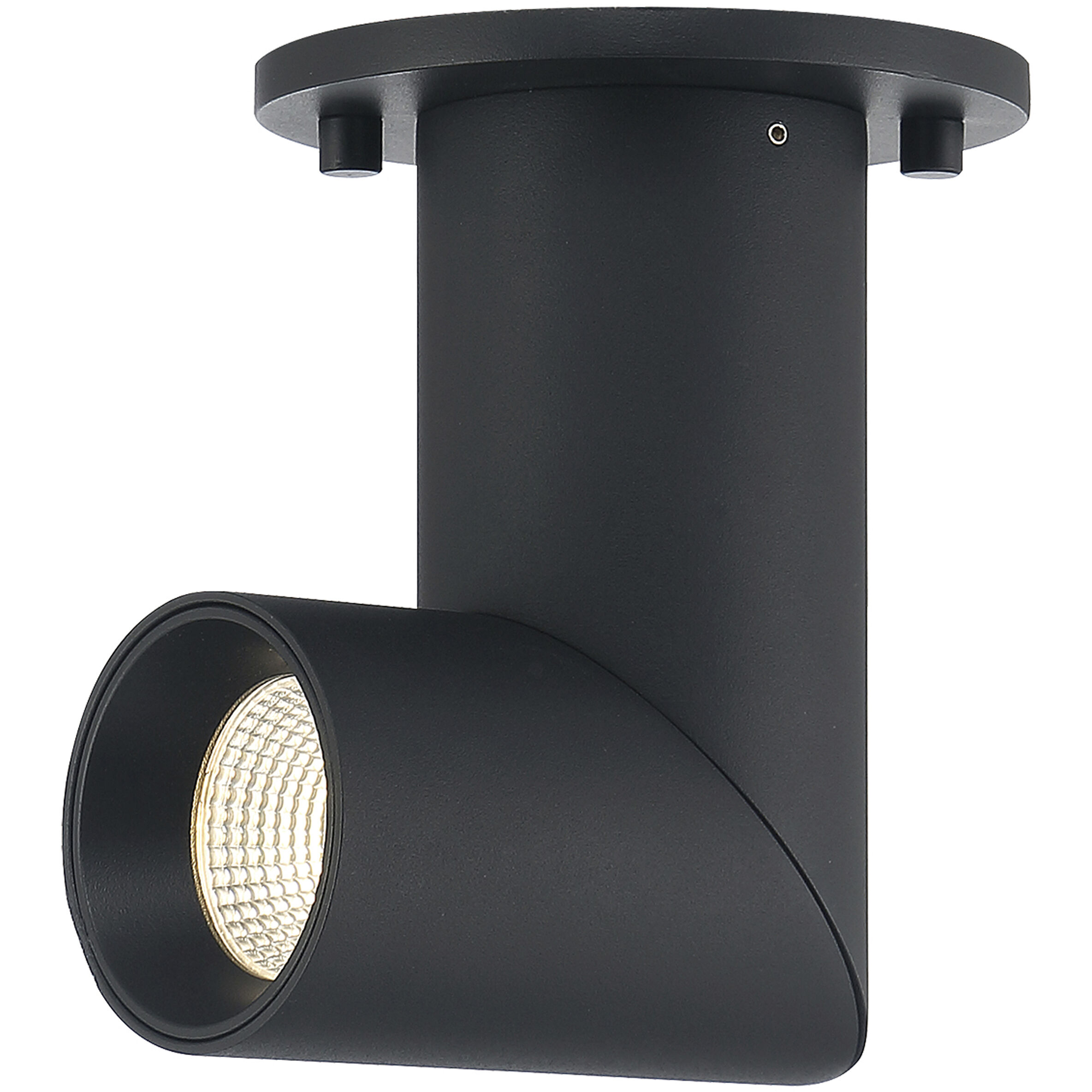 Transformer Black 11.00 watt LED Spot Light