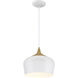 Blend 1 Light 12 inch White Pendant Ceiling Light