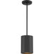 Pilson XL LED 6 inch Matte Black Pendant Ceiling Light