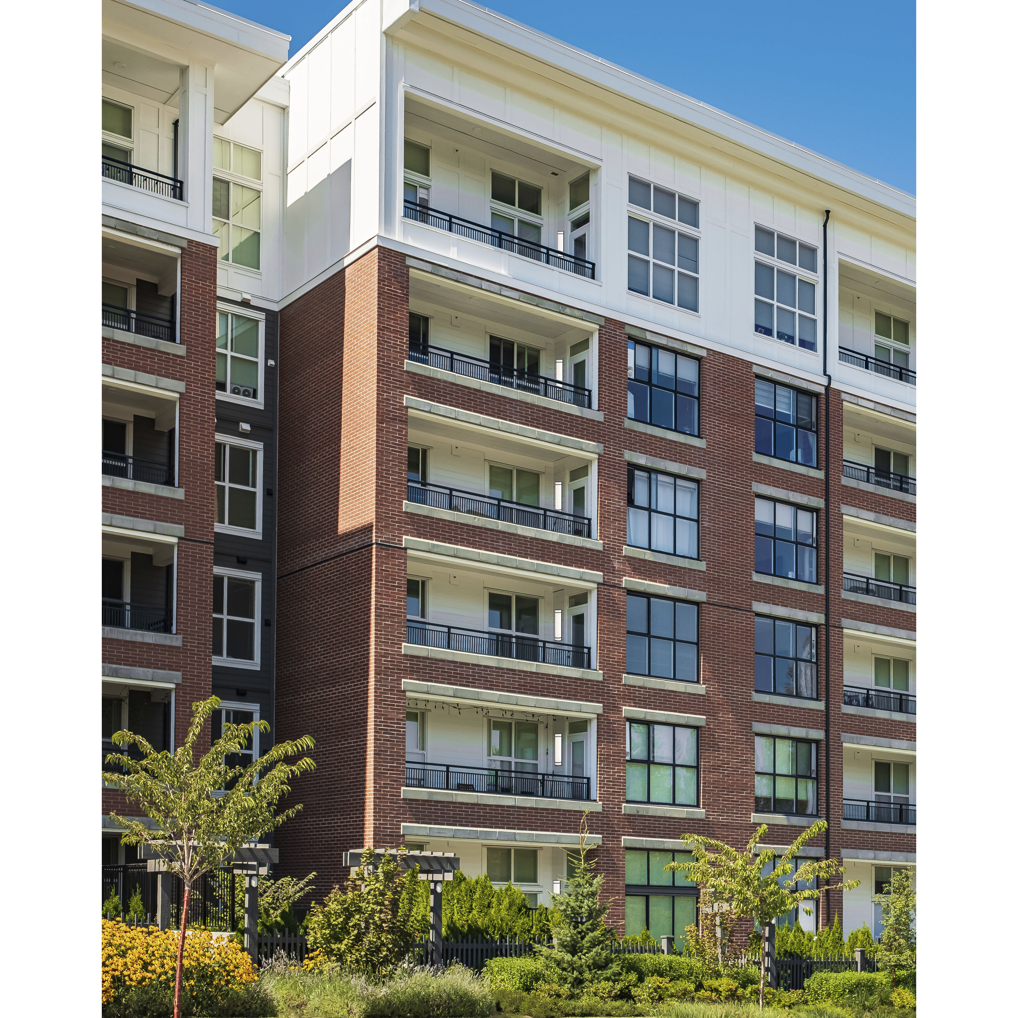 Cove 1 Light 24 inch Black Outdoor Wall Sconce