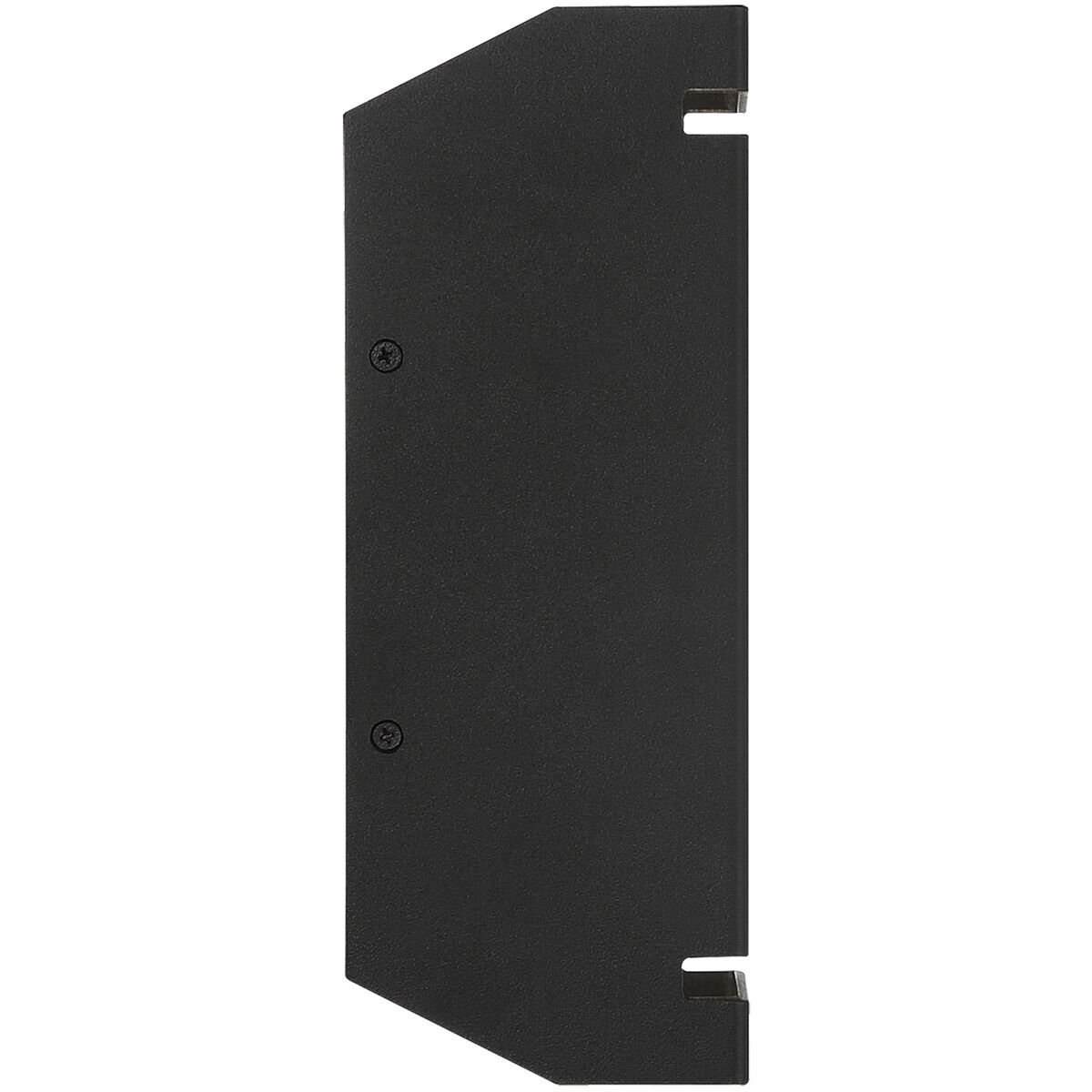La Vida LED 10 inch Black Outdoor Wall Sconce