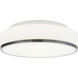Aero 2 Light 12.5 inch Chrome Flush Mount Ceiling Light