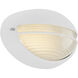Clifton LED 5.25 inch White Outdoor Bulkhead