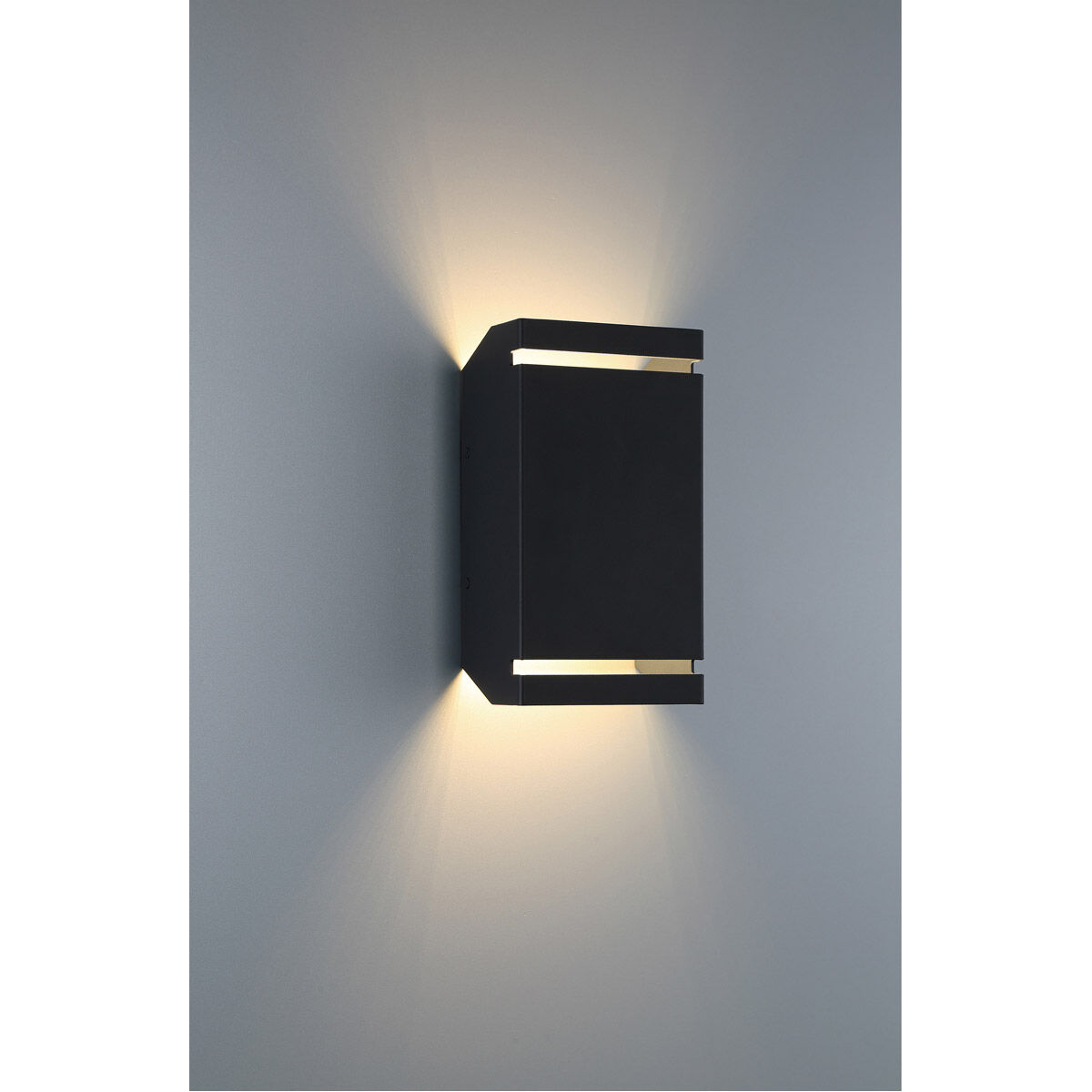 La Vida LED 10 inch Black Outdoor Wall Sconce