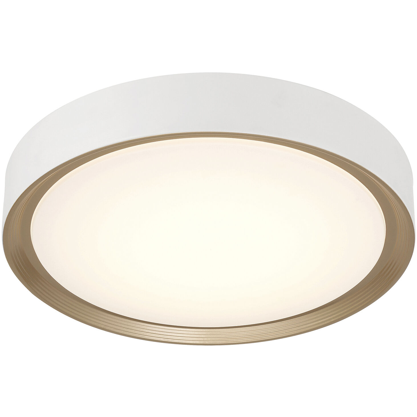 Malaga LED 23.75 inch Matte White and White Flush Mount Ceiling Light