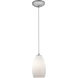 Champagne 1 Light 5 inch Brushed Steel Pendant Ceiling Light in Opal, Cord