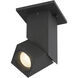 Transformer Black and Clear 11 watt LED Spotlight