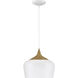 Blend 1 Light 12 inch White Pendant Ceiling Light