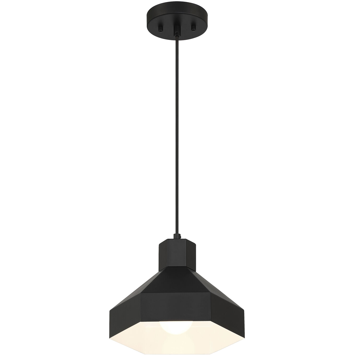 Poly LED 11 inch Matte Black Pendant Ceiling Light