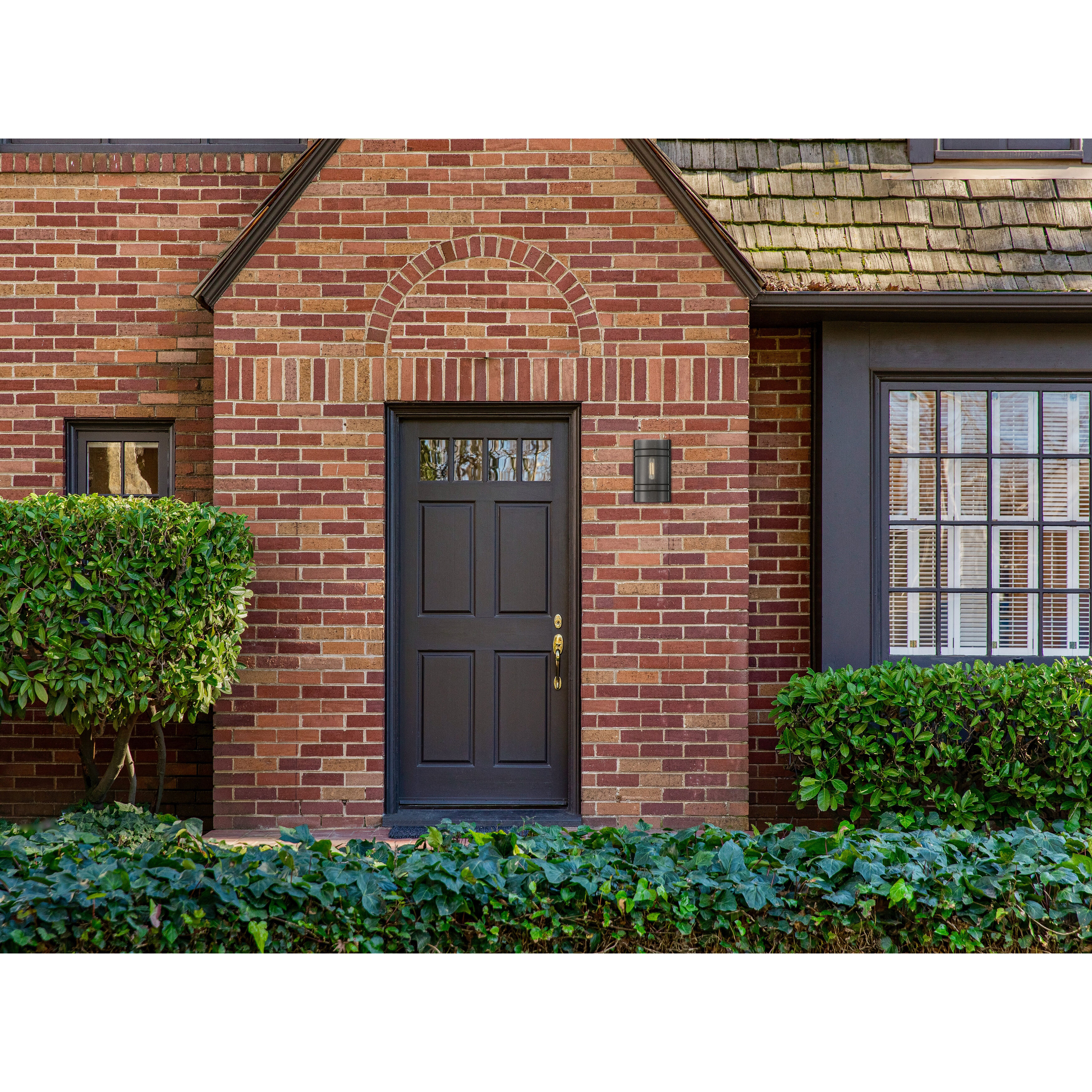 Cassi Wall Sconce Wall Light