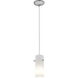 Cylinder LED 4 inch Brushed Steel Pendant Ceiling Light in Opal