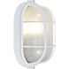 Nauticus 1 Light 11 inch White Outdoor Flush Mount