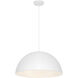 Huck 19.50 inch Pendant