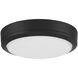 Rockaway LED 11 inch Matte Black and Frosted Outdoor Flush Mount