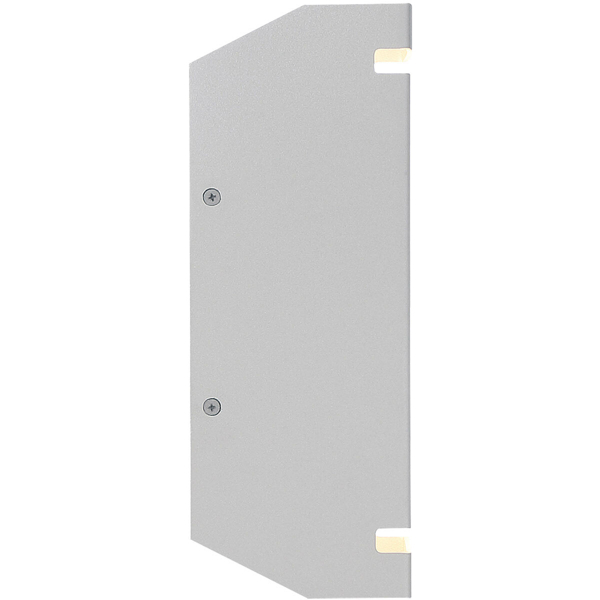 La Vida LED 10 inch Satin Outdoor Wall Sconce