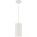 Pilson XL LED 6 inch Matte White Pendant Ceiling Light