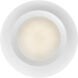 Ace 7.25 inch White Flush Mount Ceiling Light