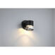Ari Seedy 4.75 inch Black Wall Sconce Wall Light