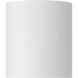 Bongo 5.5 inch White Flush Mount Ceiling Light