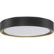 Malaga LED 19.75 inch Matte Black and White Flush Mount Ceiling Light