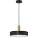 Slate LED 13.75 inch Black and Antique Brushed Brass Pendant Ceiling Light