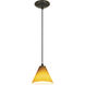 Martini 1 Light 7.25 inch Oil Rubbed Bronze Pendant Ceiling Light in Amber