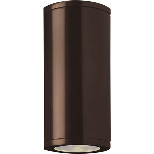 Trident 2 Light 14 inch Bronze Outdoor Wall