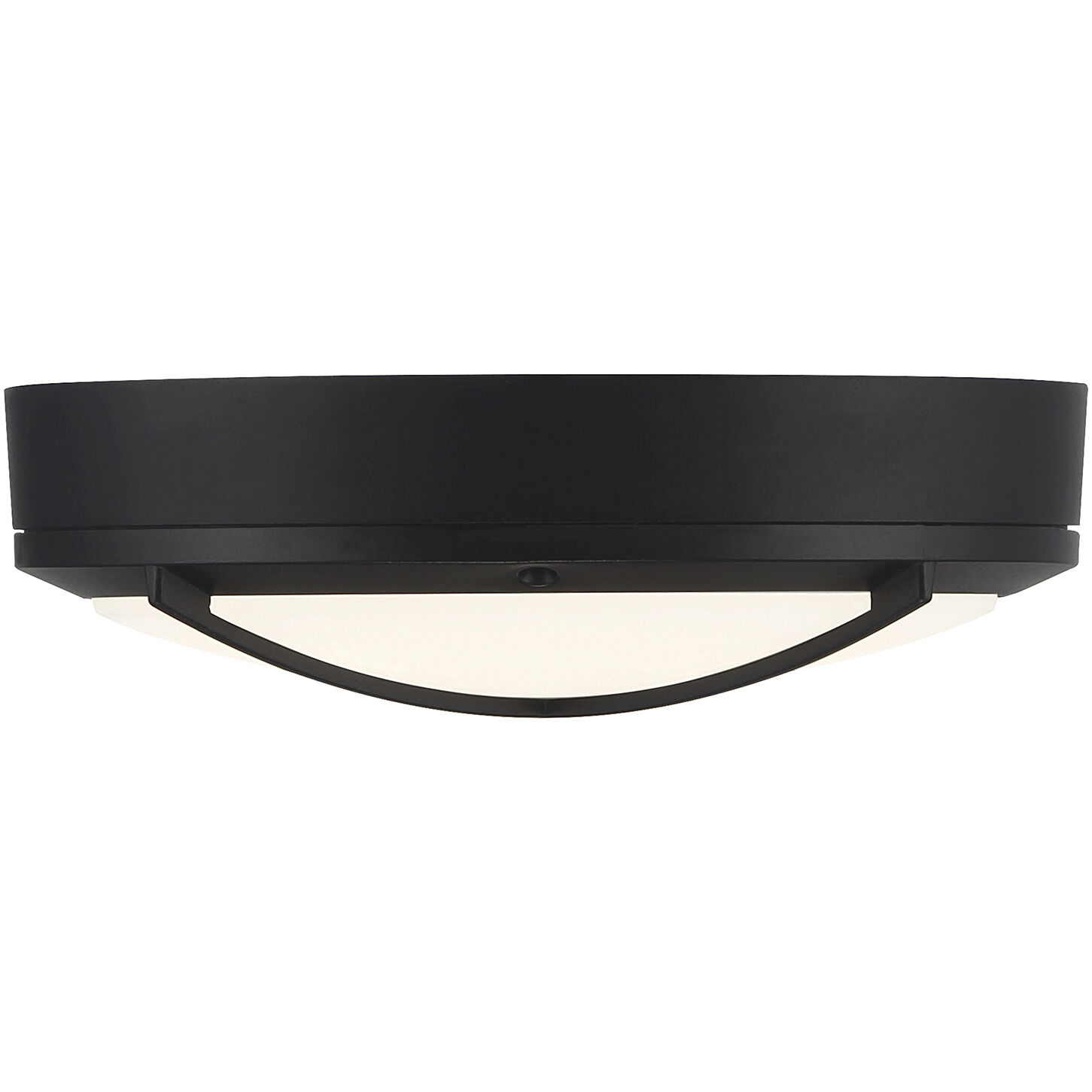 Meridian LED 11 inch Matte Black and Frosted Outdoor Flush Mount