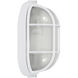 Nauticus LED 4.25 inch Satin Bulkhead