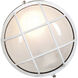 Nauticus 1 Light 7 inch White Outdoor Flush Mount in Incandescent