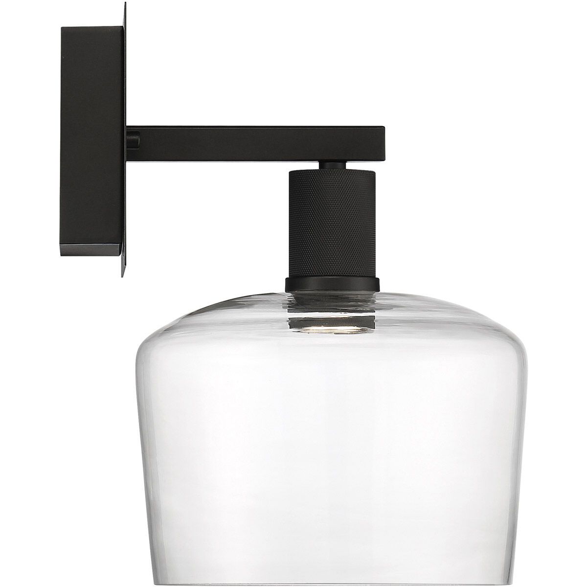 Port Nine Wall Sconce Wall Light in Clear, Matte Black