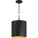 Knox LED 11 inch Matte Black Pendant Ceiling Light