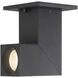 Transformer Black and Clear 11 watt LED Spotlight