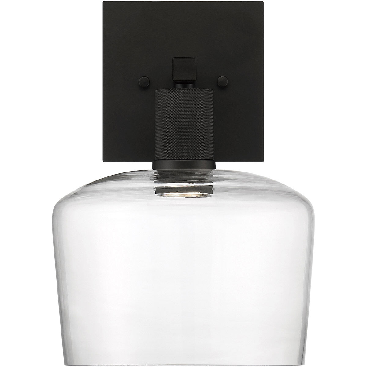 Port Nine Wall Sconce Wall Light in Clear, Matte Black