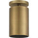 Pint Indoor 1 Light 4.5 inch Antique Brushed Brass Semi Flush Ceiling Light