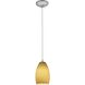 Champagne 1 Light 5 inch Brushed Steel Pendant Ceiling Light in Maya