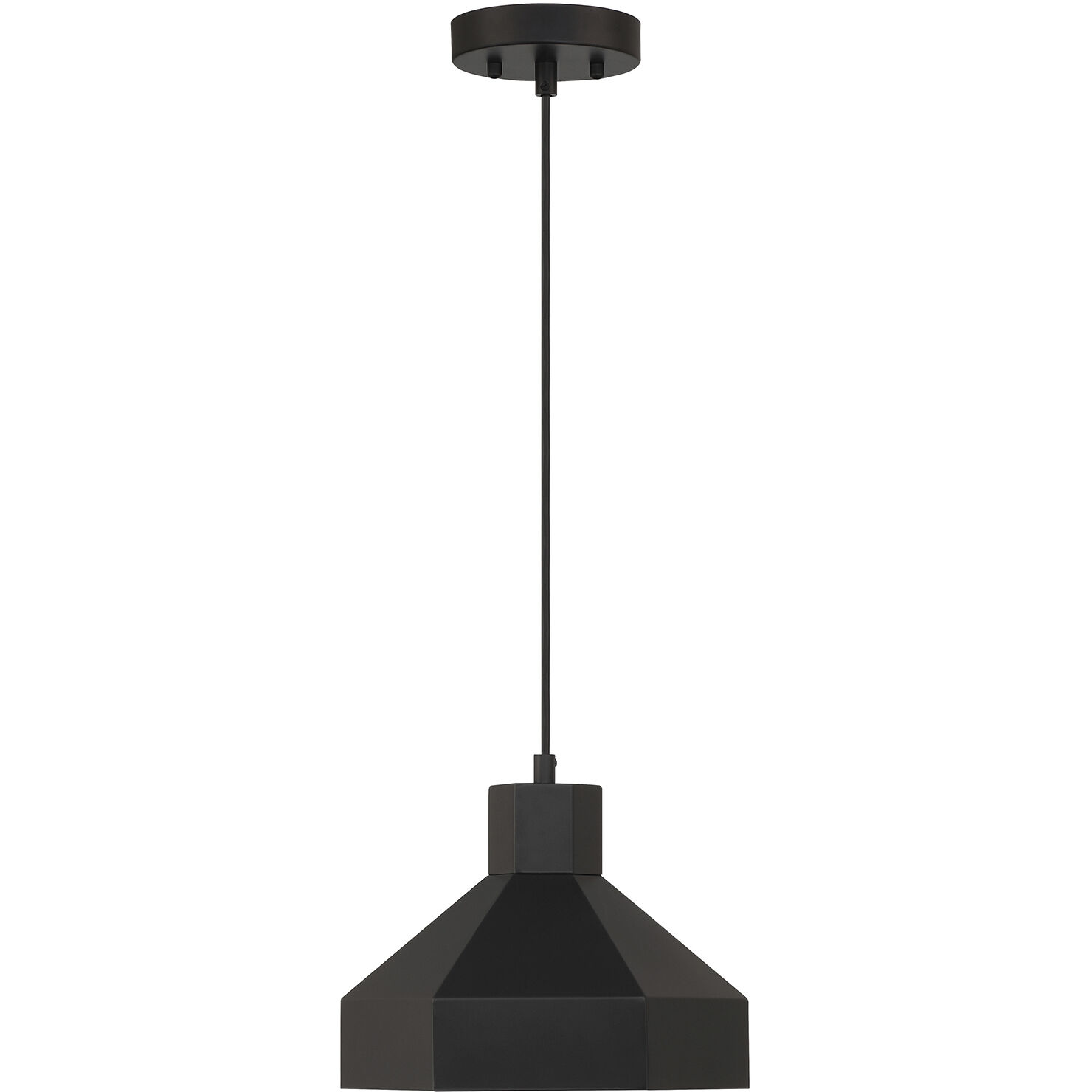 Poly LED 11 inch Matte Black Pendant Ceiling Light
