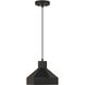 Poly LED 11 inch Matte Black Pendant Ceiling Light