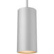 Pilson LED 5 inch Satin Pendant Ceiling Light
