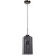 Simplicite LED 7 inch Black Chrome Pendant Ceiling Light