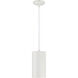 Pilson XL LED 6 inch Matte White Pendant Ceiling Light