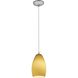 Champagne 1 Light 5 inch Brushed Steel Pendant Ceiling Light in Maya