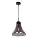 Simplicite 1 Light 11.75 inch Black Chrome Pendant Ceiling Light in Smoke