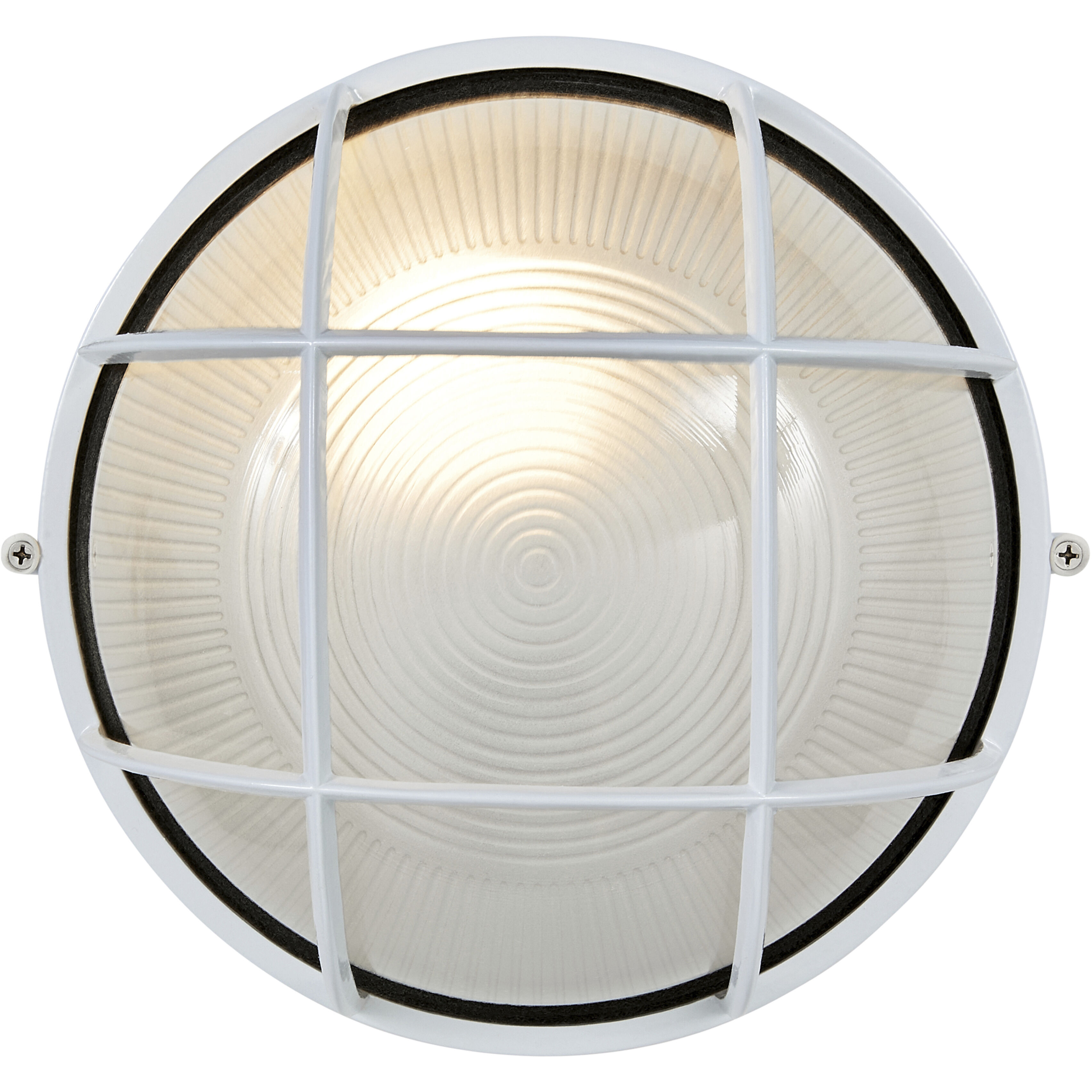 Nauticus 1 Light White Outdoor Wall Sconce in Incandescent