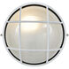 Nauticus 1 Light White Outdoor Wall Sconce in Incandescent
